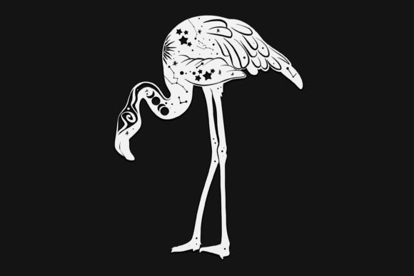 Celestial Flamingo Drawing 101: Graphics and Illustrations Review